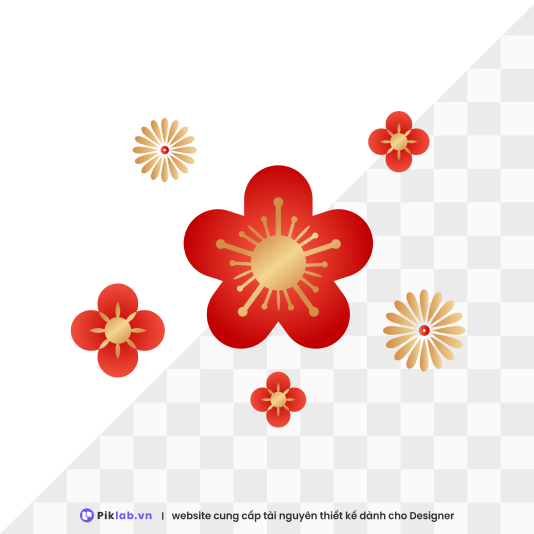 Design resource Red 5-petal flower pattern interspersed with bronze flowers happy new year tet holiday isolated on transparent hoa tết PNG tết